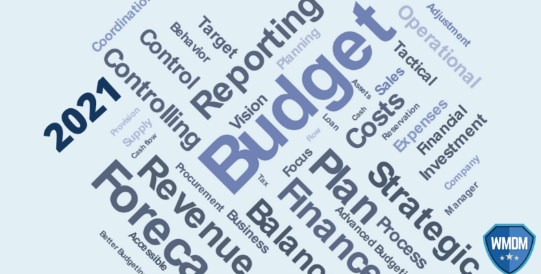 Budget - Word Map showing Budget, Plan, Revenue, Forecast, Reporting